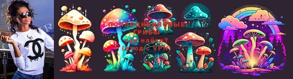 сатива Вяземский
