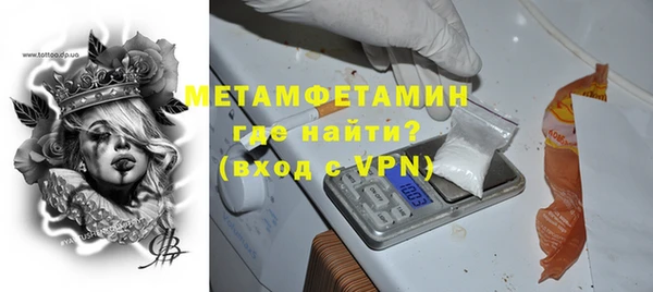 сатива Вяземский