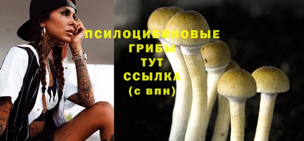 MDMA Premium VHQ Горняк