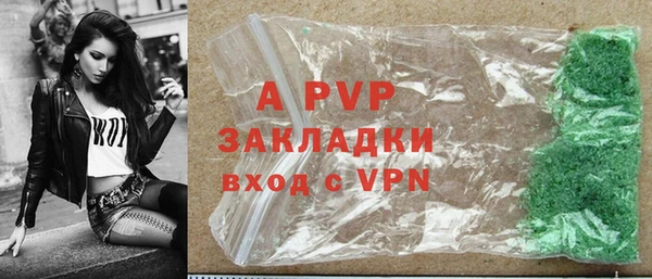 сатива Вяземский