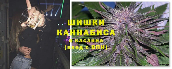 сатива Вяземский
