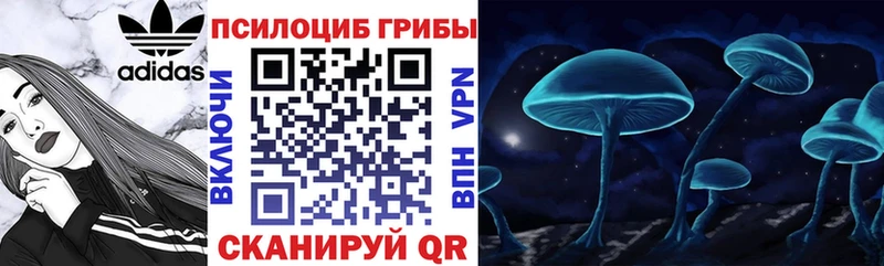Псилоцибиновые грибы Magic Shrooms Купить где Железноводск